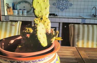 Summer Dream LA CASA SUL MARE - Photo 13