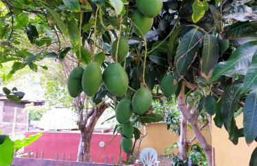 Casa Omaira y Nacho - Foto 24