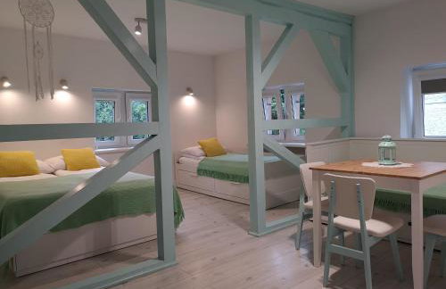 Kot Pocztowy - Foto 45