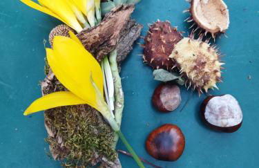 Penelope Elafotopos - Foto 23