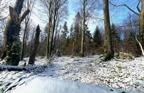 Domki całoroczne DOMKOWSTWO - Foto 48