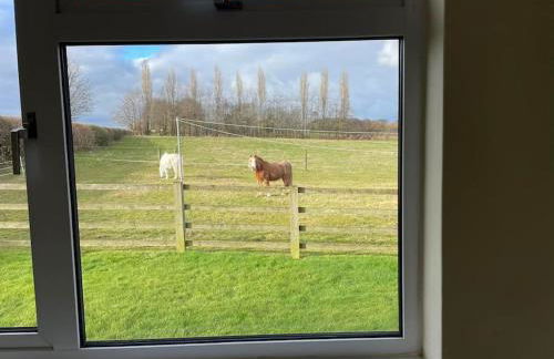 Little Harries Cottage - surrounded by open fields - Foto 23
