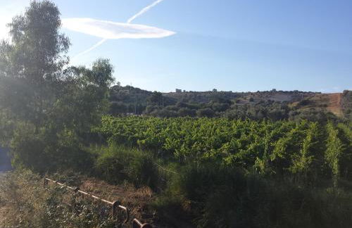 Agriturismo Donna Beatrice - Foto 21