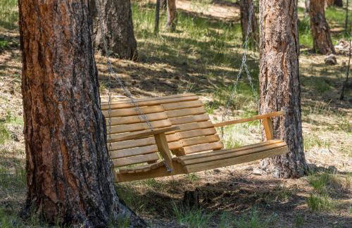 Gorgeous Cabin 3 Rooms & 2 Baths in Bailey - Foto 12