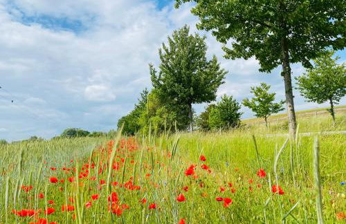 Klein aber fein in der Altstadt - Photo 20