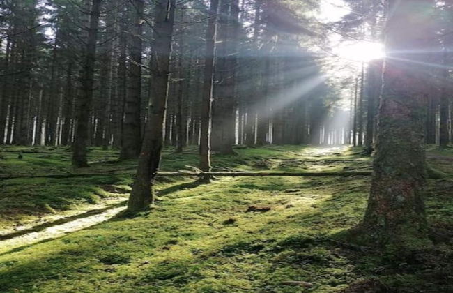 Unique Holiday Home in Noordwolde With Garden - Foto 32