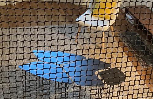 La Petite Maison du 9 - Foto 1