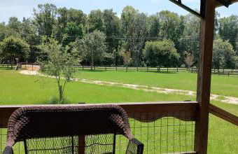 Buck Moon Farm - Photo 20