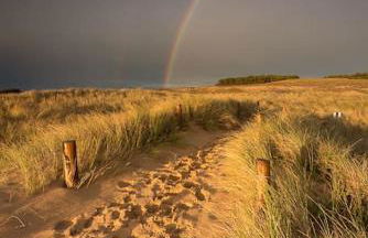 Maison au calme à l'intérieur du golf de Ploëmel, entre terre et mer, 2 chambres, 10 min des plages - Foto 27