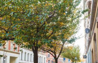 Edles Stuckdecken-Juwel! 2 Schlafzimmer, PARKPLATZ vor der Tür, HBF nah, gratis Kaffee&Tee - Foto 16