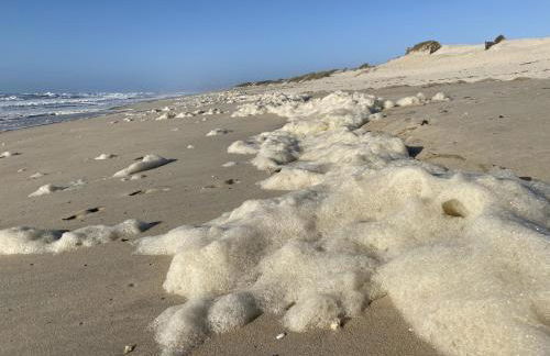 ALOJAMENTO SAUDADE - Foto 49