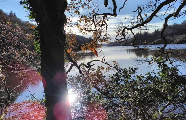 Lovely Sea View Apartment in Rineen - 4 Guests - Foto 19