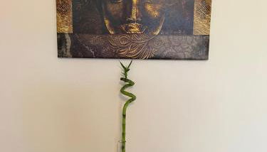 Ferienwohnung Aspelohe - Apartment 2 - Foto 3