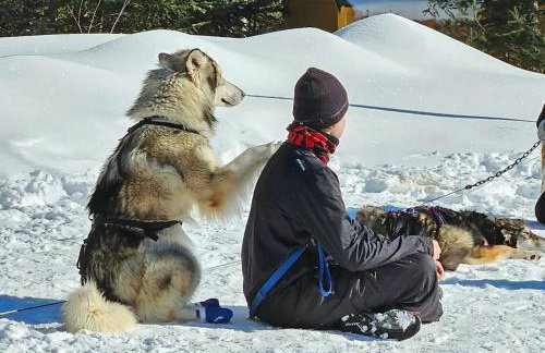 Incredible Guest Suite - Unique Off-Grid Lodging Experience with Sled Dogs in Minnesota - Foto 18