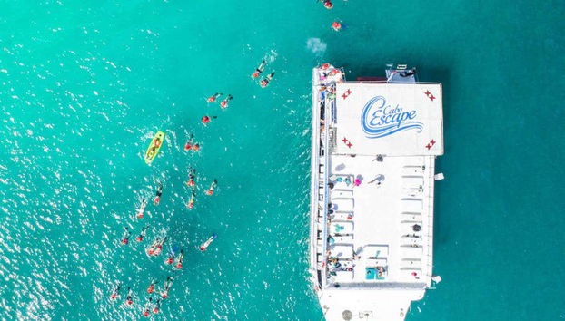 Snorkeling à Los Cabos