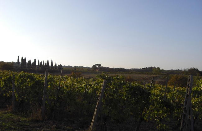 Tenuta S. Agnese - Photo 47
