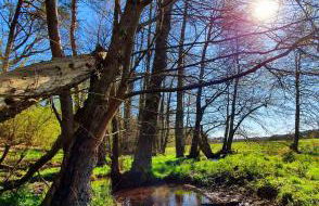 Holiday home in Coswig 3105 - Foto 10