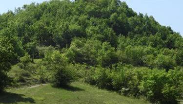 Pietra Corva - Monticello Apartments - Foto 2