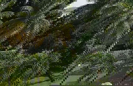 Turquoise Sea Villa - Foto 22