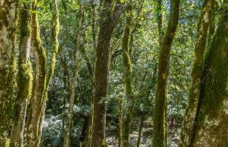 Quintal do Garnizé - Unidade Beija-Flor - Foto 29