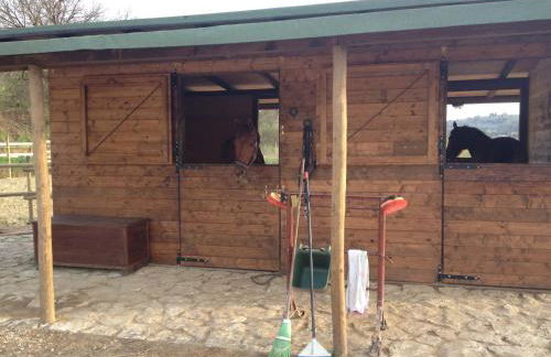 Agriturismo Il Paradiso - Foto 142