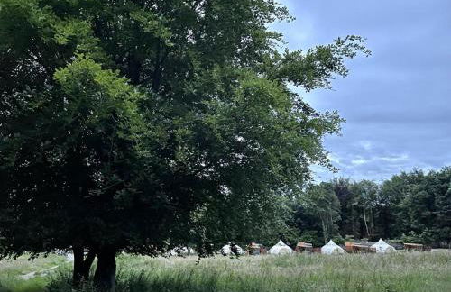 The Little Retreat, Pembrokeshire - Photo 30