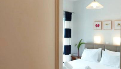 Blue Window - Photo 4