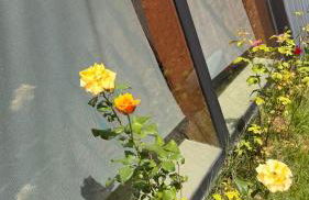 Cabana de Vidro - Canelinha - Photo 4