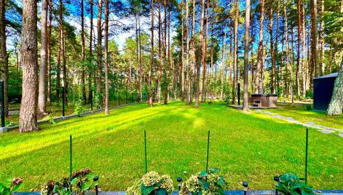 Domek na Jurze - Photo 4