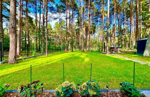 Domek na Jurze - Foto 4