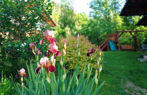 Dom Pod Lipą - Foto 14