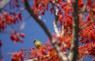 Refúgio na Lapinha com dois chalés, ideais para casal, família ou pequeno grupo de amigos, com acesso privativo à lagoa, caiaques e quadra de beach tennis - Foto 42