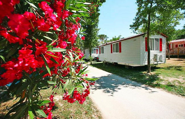 Mobile Home for dog Owners in Caorle - Foto 19