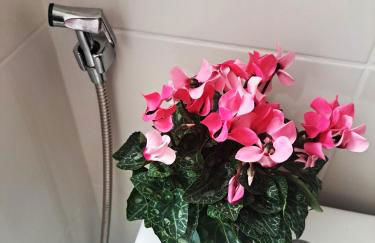 Apartamento Completo na Grande Florianópolis - Foto 15