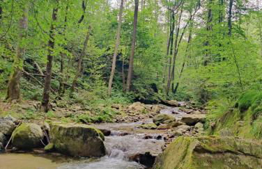 Casa del Conte - Foto 10