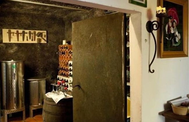 Vineyard cottage Verček - Photo 5