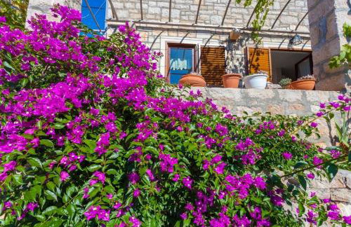 Holiday house with a parking space Lozisca, Brac - 15444 - Foto 7