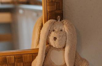 Gîtes du Bulz, en pleine forêt proche de la mer - Photo 67