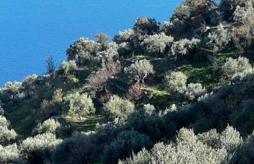 Maison de vacances pour 6 personnes - Photo 38