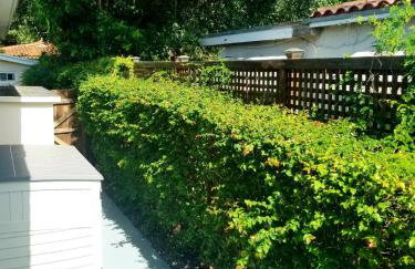 FAMILY Guayabita's House - Photo 28