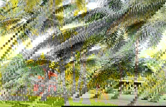 Paradise Bay - Foto 46