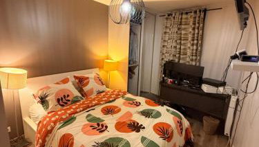 résidence oradou france - Foto 5