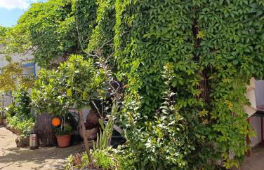 Casa Rural El Patio - Foto 16