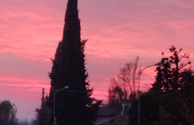 Comfortable House - Garden and Parking - Photo 19