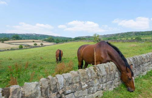 The Barn At Grislow Field - Foto 16