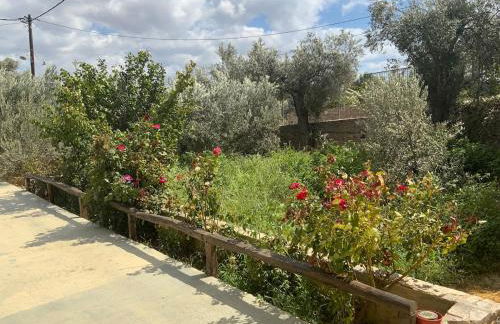 Kostas Volissos-residence - Foto 17