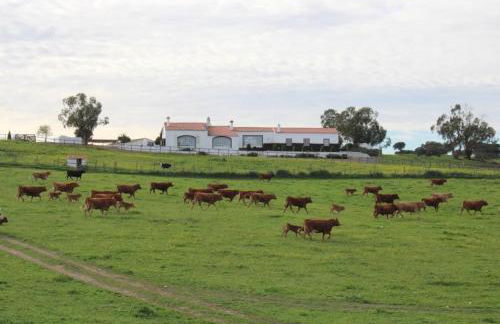 Herdade da Boavista - Foto 55