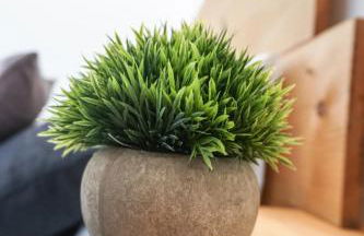 Apartamento Altea Blanca - Photo 5