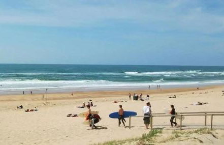 L'ecureuil - Foto 14