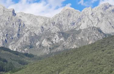 Apartamento Picos de Europa - Foto 13